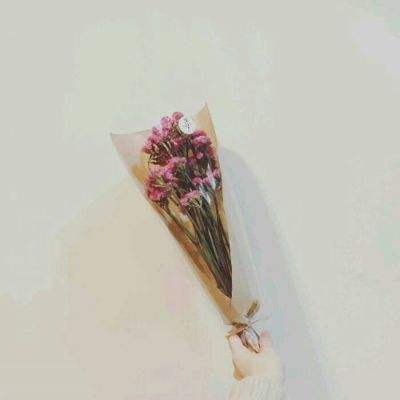 航海王启航手游虫虫版下载